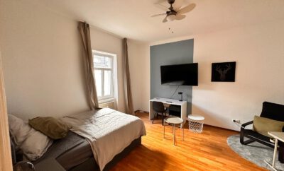 Chambre Bruges (1er étage, 17m²)